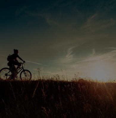 Professional bicycle maintenance
